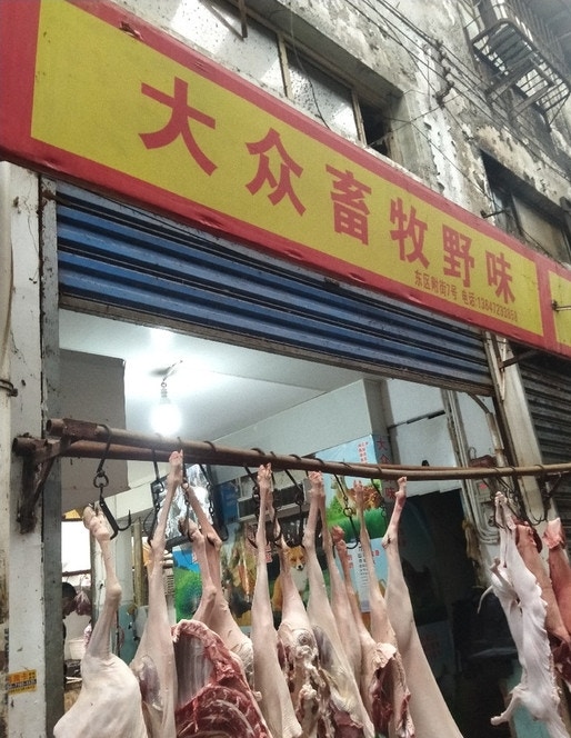 新型冠狀病毒源發地：武漢華南海鮮市場