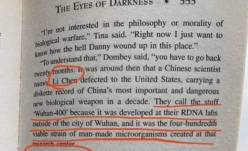 美國作家 12 年前預言新冠肺炎？