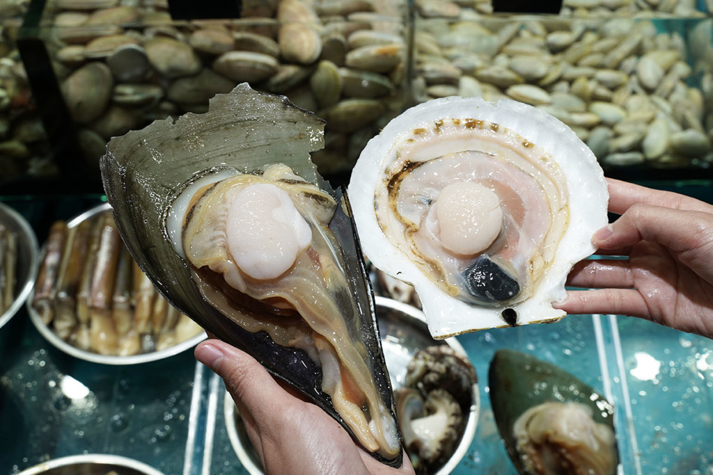 扇貝、帶子怎麼分？如何分公乸？