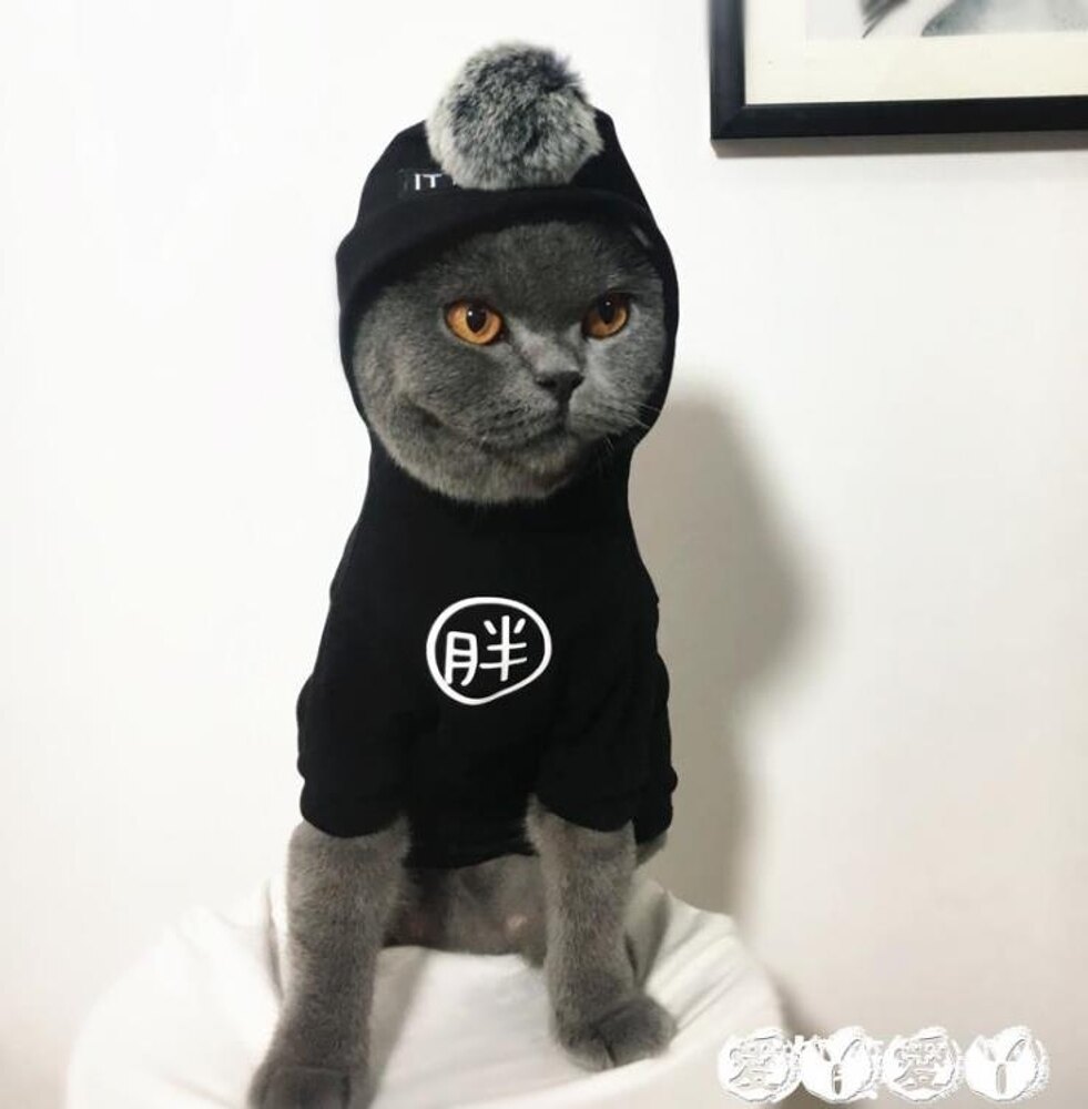 不要再給貓穿衣服了！