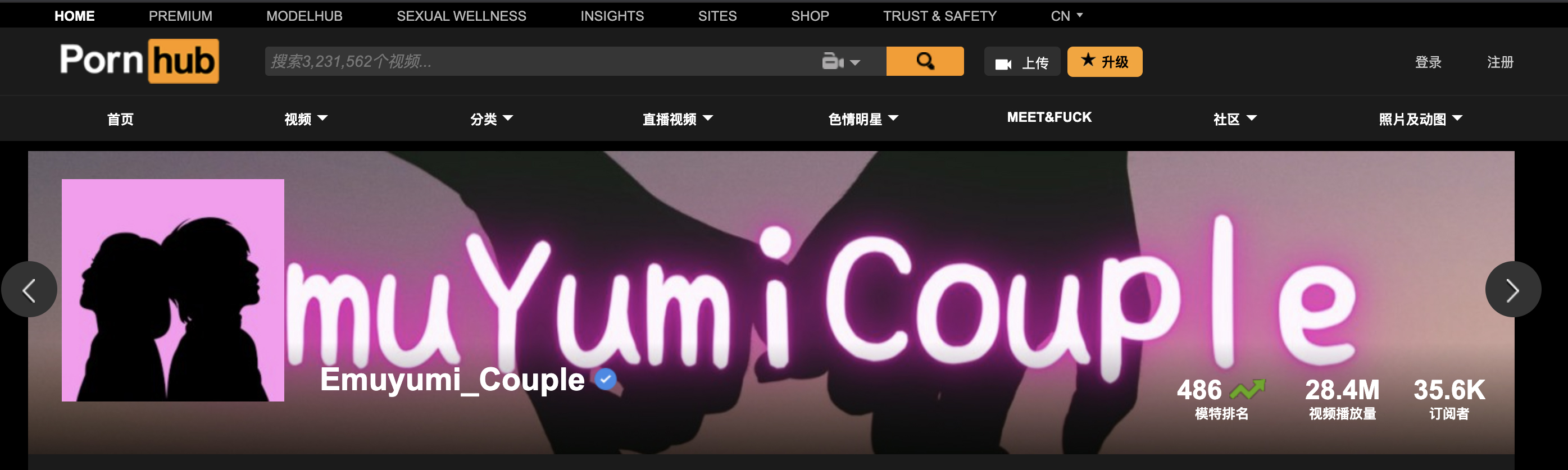 月入 400 萬！日本情侶全職做 Pornhuber