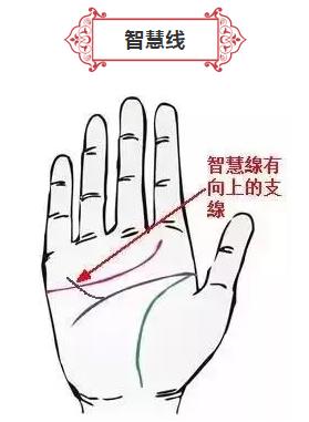手有此掌紋，必是有錢人！