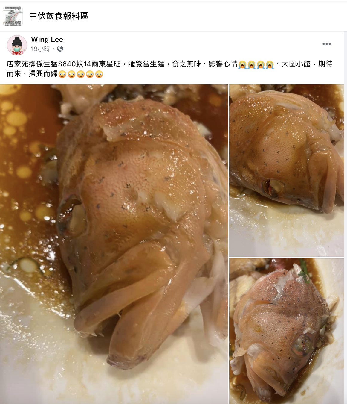 一條中伏東星班 PO 引爆的海鮮知識交流大會