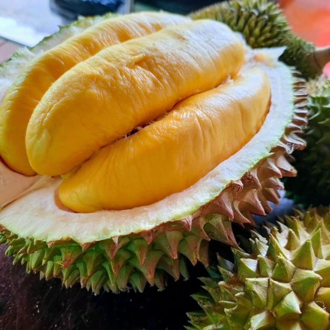 研究證實：榴槤能助眠、防癌、提升性功能等 ...