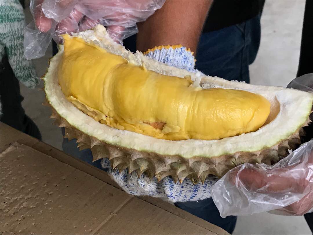 榴槤求婚大行動