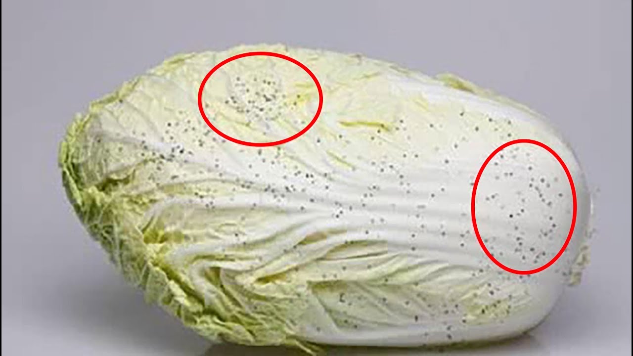 大白菜上的小黑點能不能吃？對身體有害嗎？
