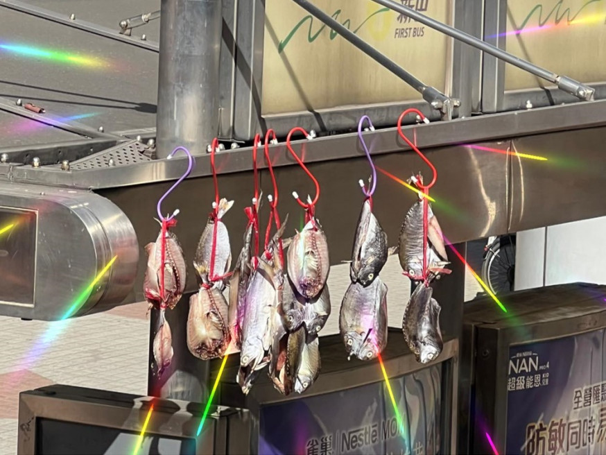 巴士站上蓋曬鹹魚