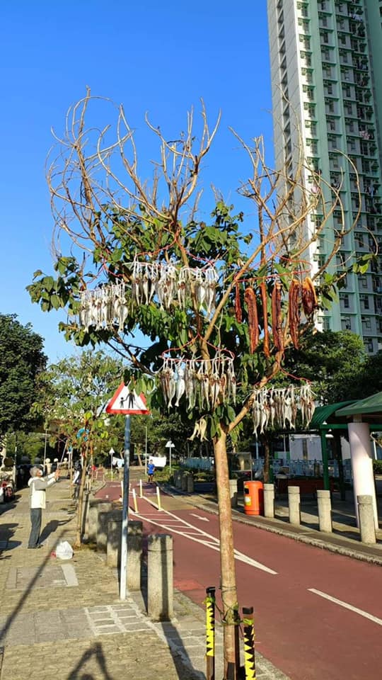巴士站上蓋曬鹹魚