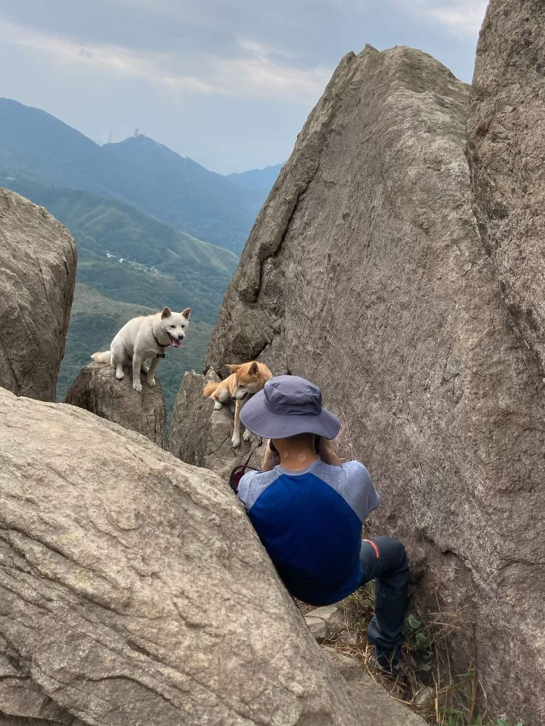 為影相打卡 主人要狗狗危站懸崖邊