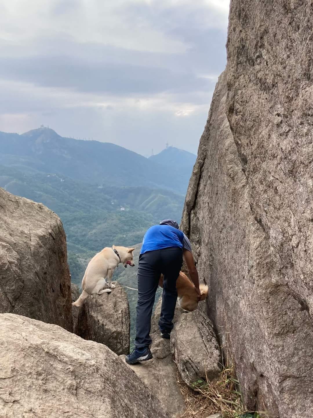 為影相打卡 主人要狗狗危站懸崖邊