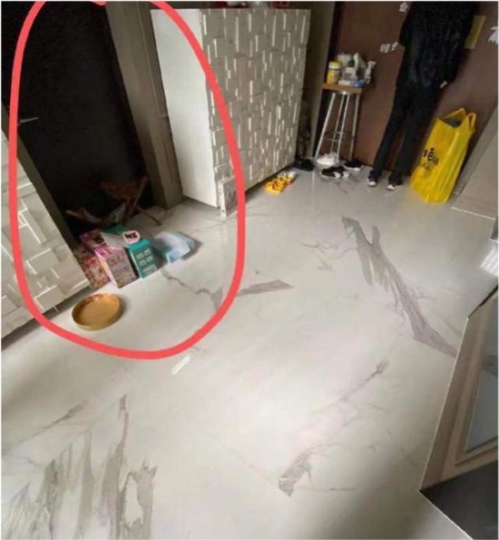 王力宏探望孩子 曝新監控截屏