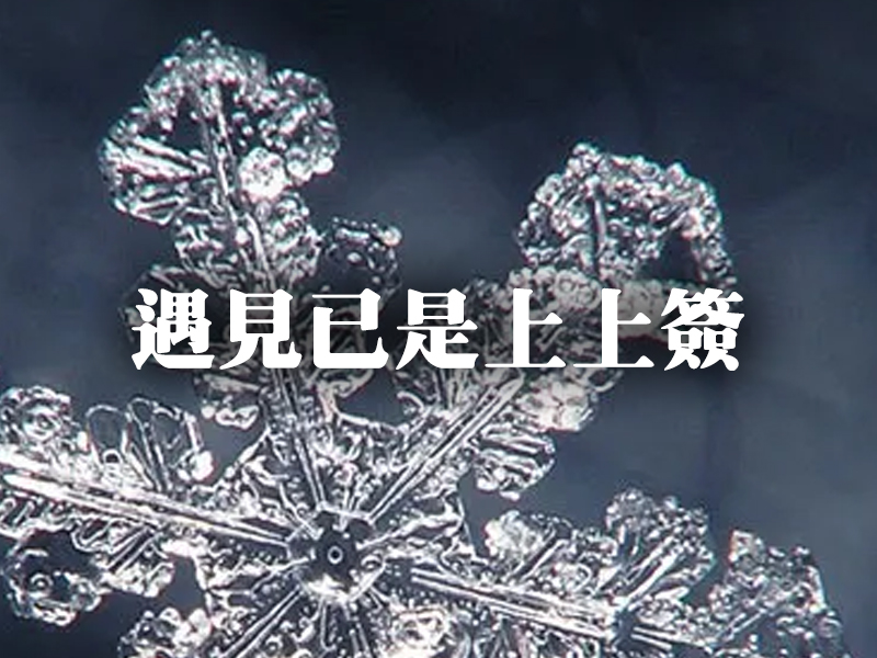 縱然結局不如意，遇見便是上上簽