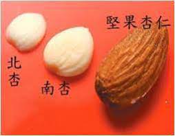 杏仁吃多會食物中毒？