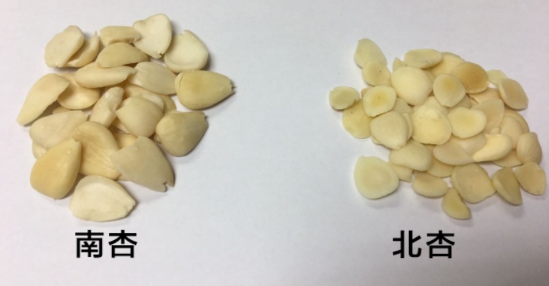 杏仁吃多會食物中毒？