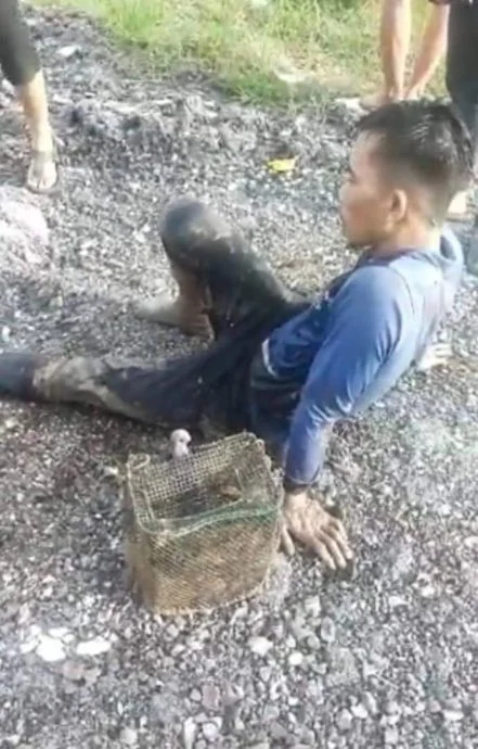 被鱷魚咬住小腿 男子情急下用一招脫險 被鱷魚咬住小腿 男子情急下用一招脫險