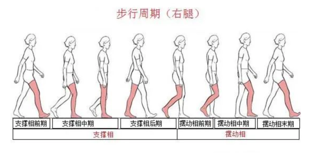 你的走路姿勢，可能一直都錯了！難看還傷腿！