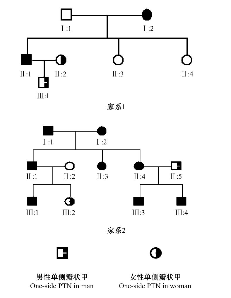 小腳趾指甲分成兩瓣的人，到底是什麼來歷？