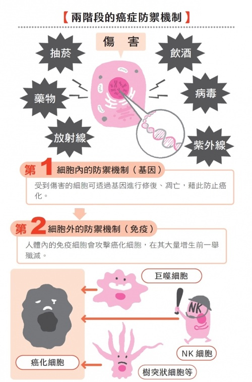 你知道嗎？你每天體內會產生 5000 個癌細胞