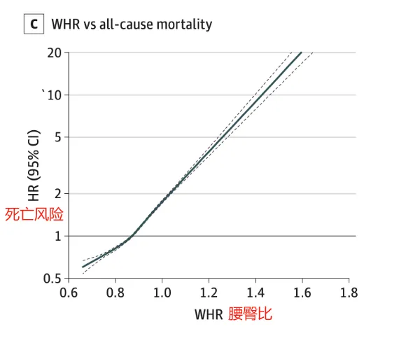 這種身材的人，死亡率高