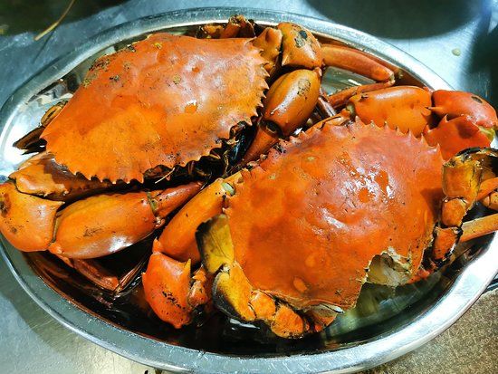 日本人不吃羊肉，印度人不吃牛肉，中國人不吃什麼？