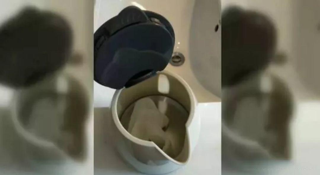 酒店清潔阿姨提醒：熱水壺不是最髒的，這 3 個地方才是 ...