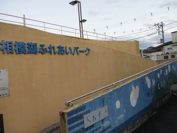 知名公園驚見「女優野外露出」