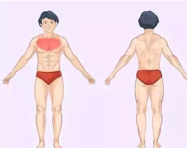 器官問題：身體疼痛對照表