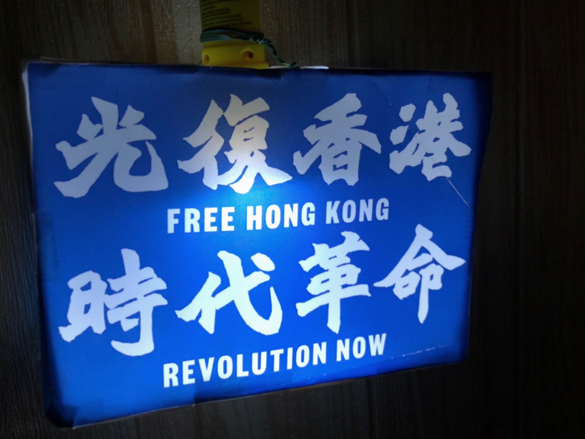 今年網民 DIY 的燈籠