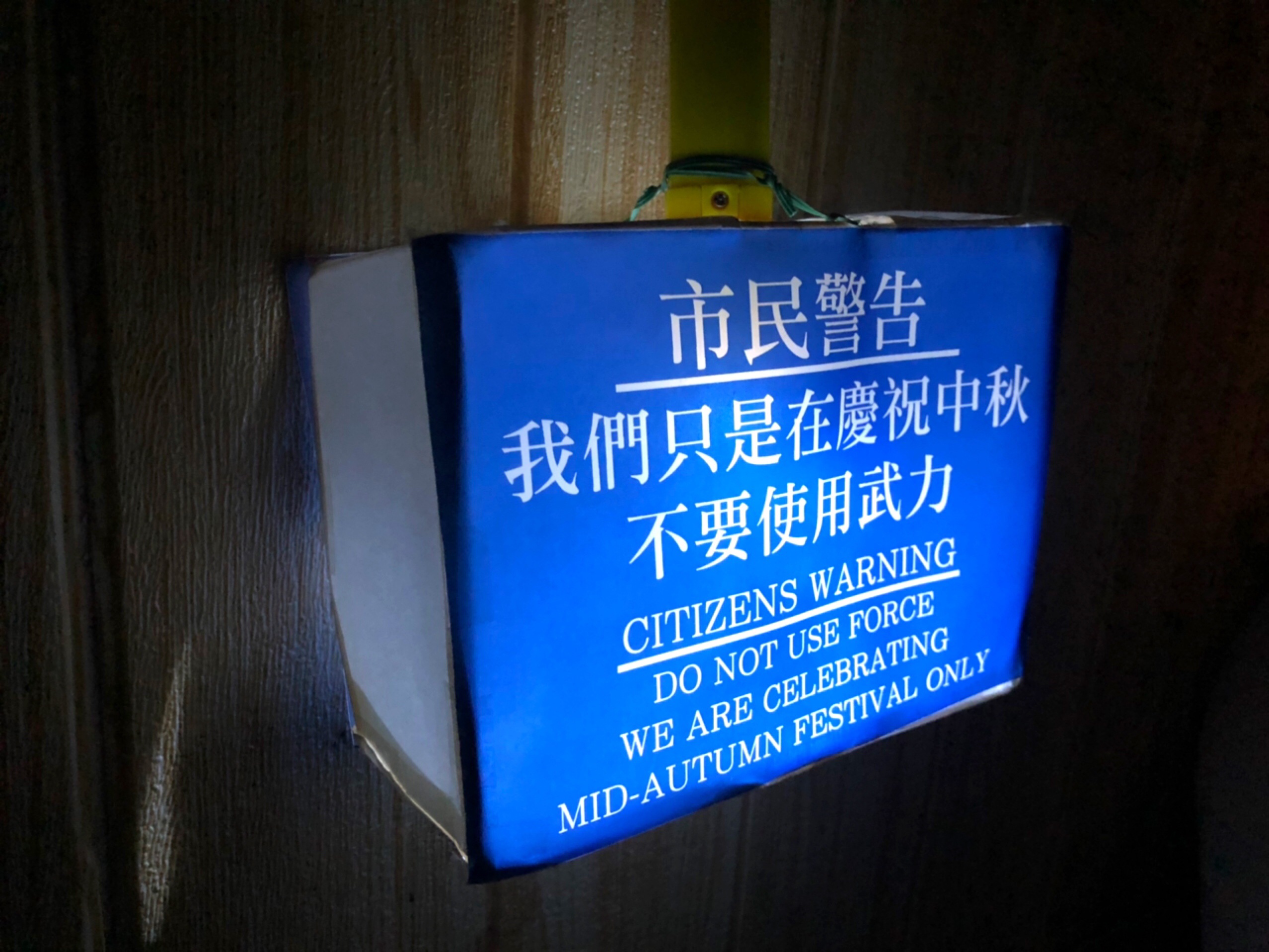 今年網民 DIY 的燈籠