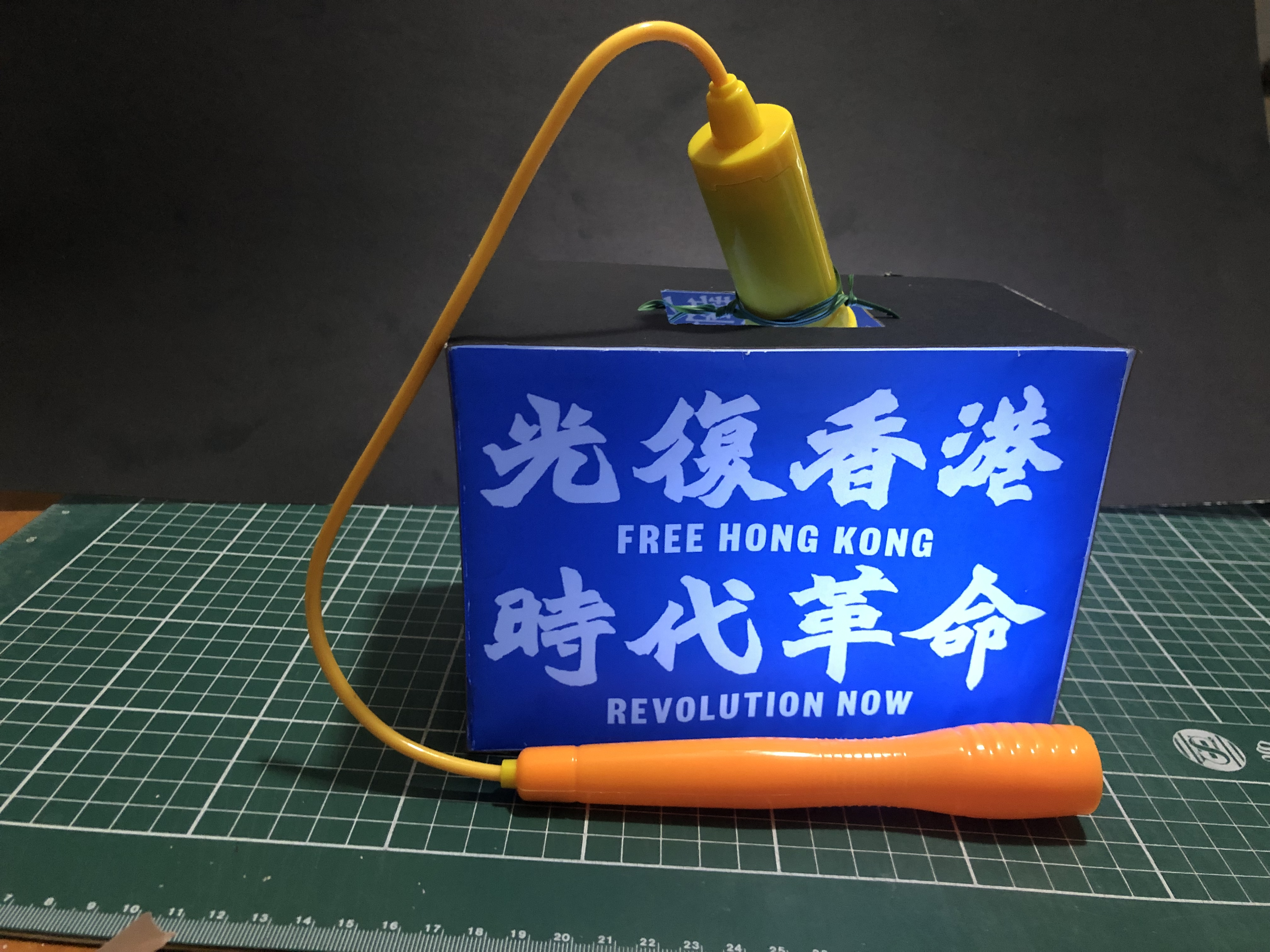 今年網民 DIY 的燈籠