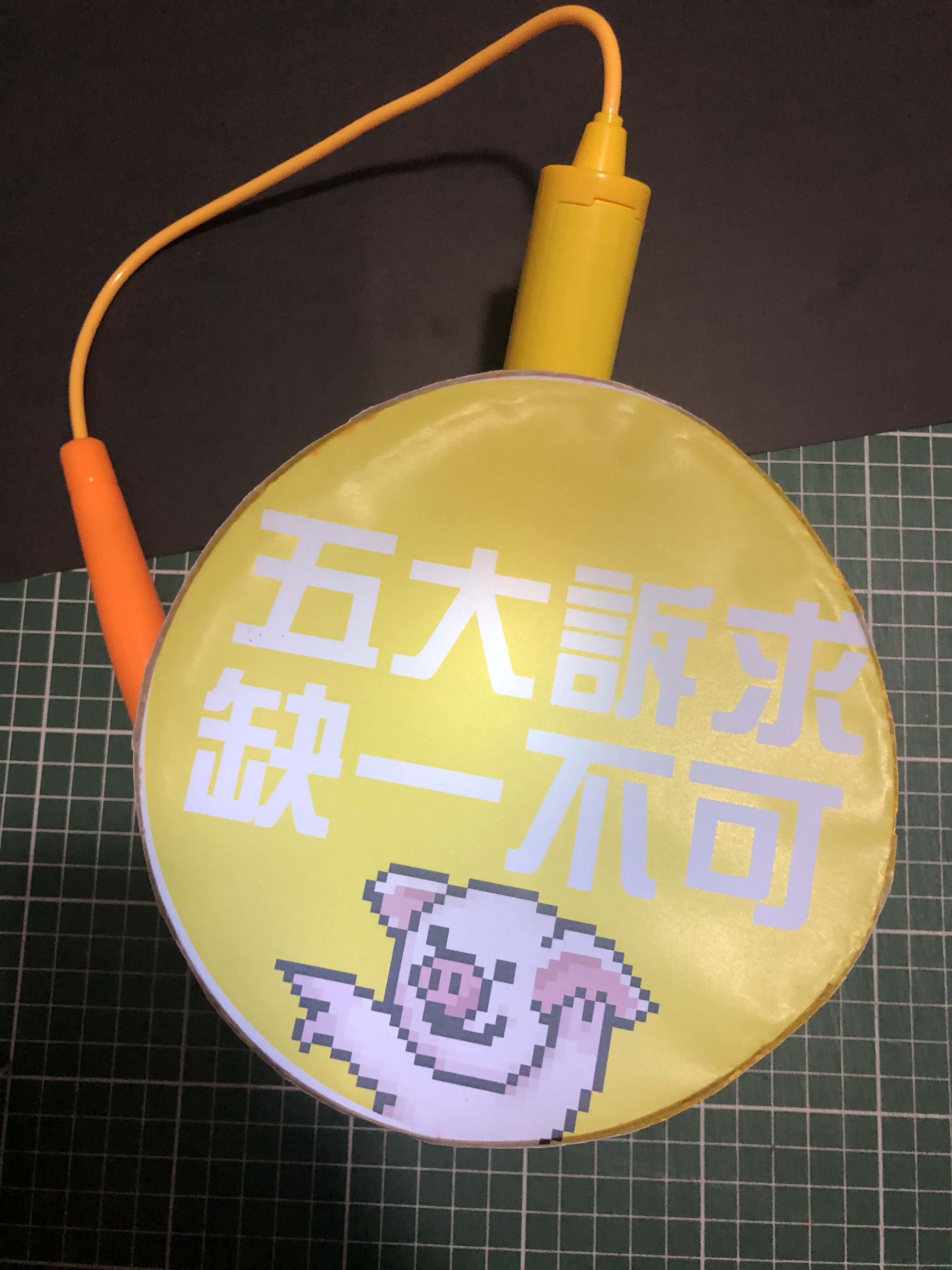 今年網民 DIY 的燈籠